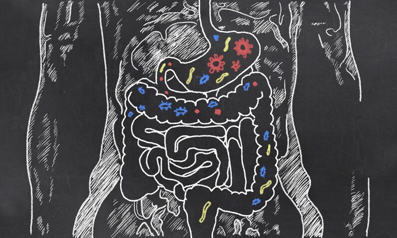 Parasites dans le tractus gastro-intestinal d'une personne