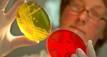 diagnostic de parasites dans le corps